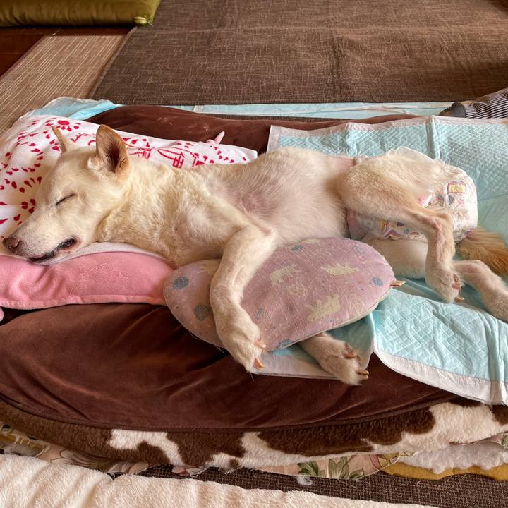 4e9a4e57 e366 4eeb a9fb 786d55eab161 1676515567818