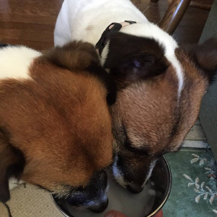 4e9a5fad d442 4ee3 bd42 7fcf009de572 1560649115356