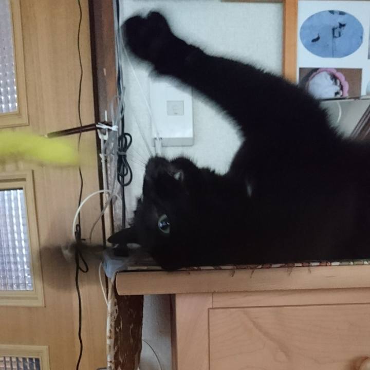 4e9a62f2 66fc 4358 9299 ad351c1a846e 1566255160456