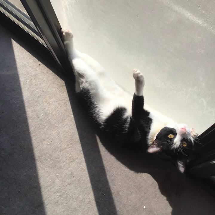 4e9a8c40 f3e9 4593 9513 c3fec595bef7 1649292793759