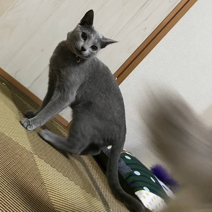 4e9ac295 0ddb 4e60 92e2 178626f2c9bf 1519135892190