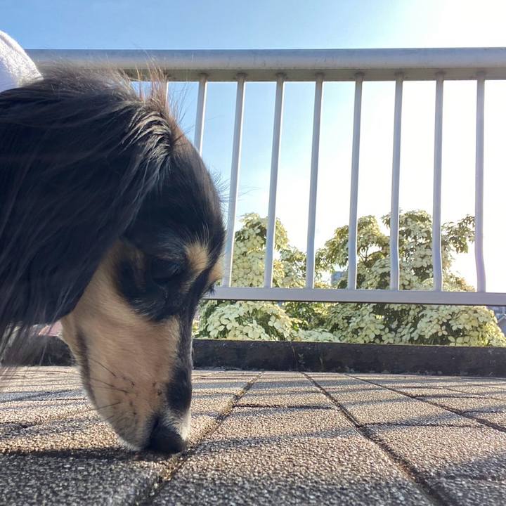 4e9b0690 6aba 4204 90d4 4e19618b3a18 1750198841602