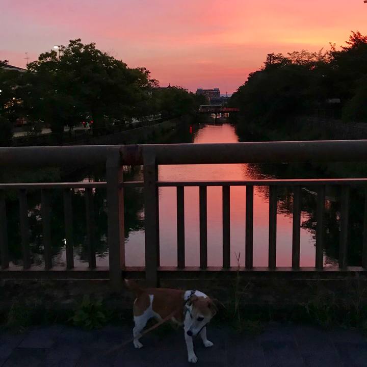 4e9b1b07 f340 4437 87ff dd051aa716fa 1565434018951