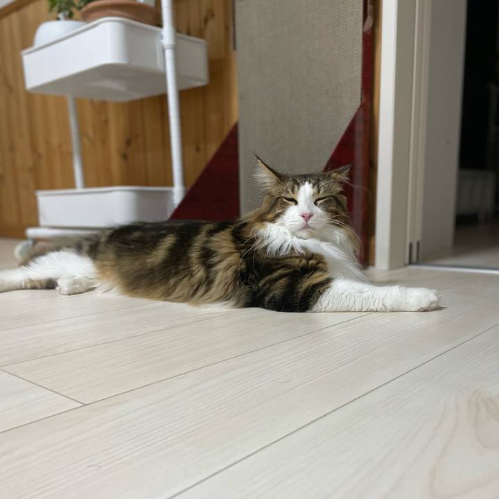 4e9b2adb b836 4f9e 859f 7bacee449e22 1648721292150