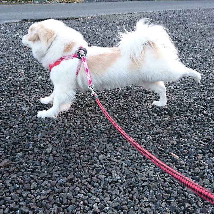 4e9b5909 7e50 4072 927c 6a2d14148178 1520113810452