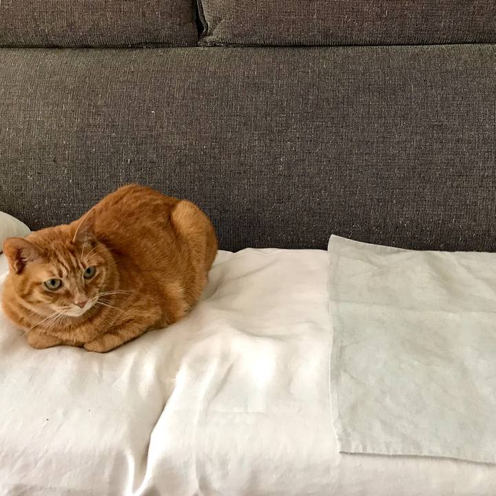 4e9b60db c986 4ad3 b3de 7ef489dddc29 1528956214600