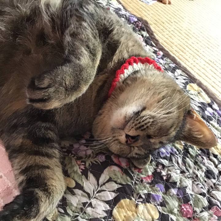 4e9b9f50 41bb 4e3b 87e8 d09742e7c60d 1684033311495