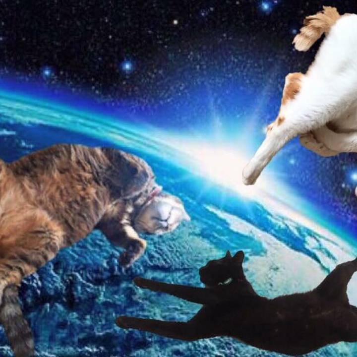 4e9bde2d e86f 4d61 bbed 95ddfa5493a4 1518137672111