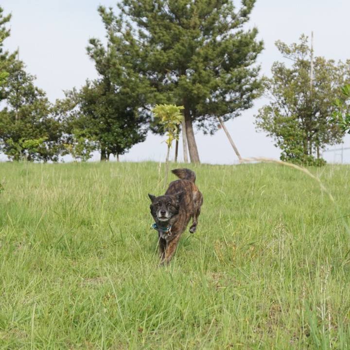 4e9c138e 96b4 4284 a066 0602065ec3b5 1560679583593