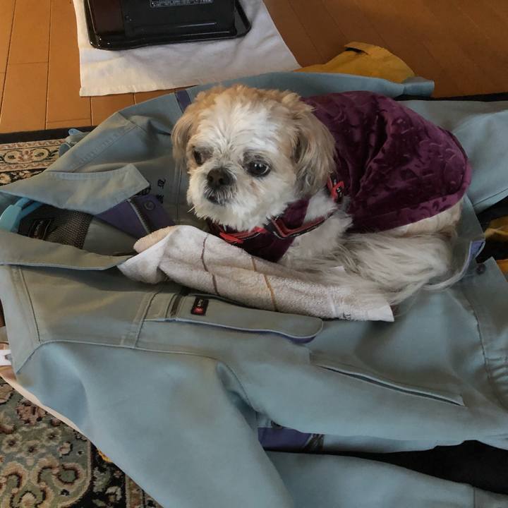 4e9c3215 07c7 42af a6cb 2b06673ac465 1615757985895