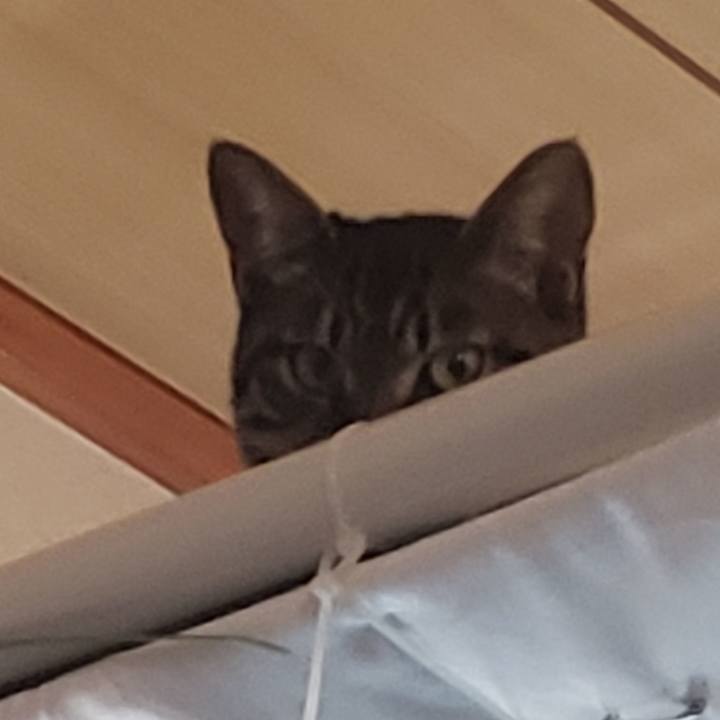 4e9c33fd ed70 40c3 9ed5 d5515310013e 1551624937992