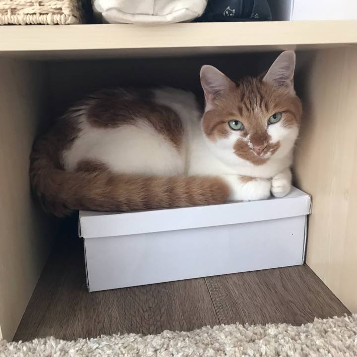 4e9c4aec 5db7 47b2 896e f2ab9a947aab 1628035858356