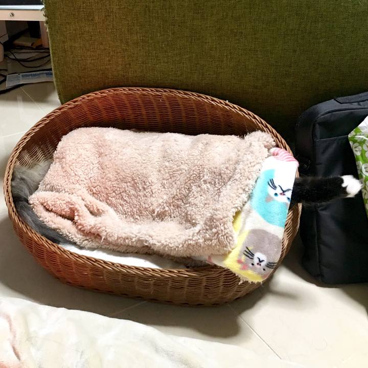 4e9c5589 8e6e 43a0 a72b 3cd06c496e58 1511702731044