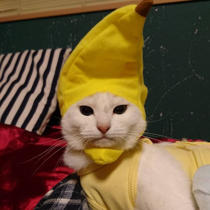 4e9c7737 8877 4df8 b15f 858b0f3f0b8f 1535292284393