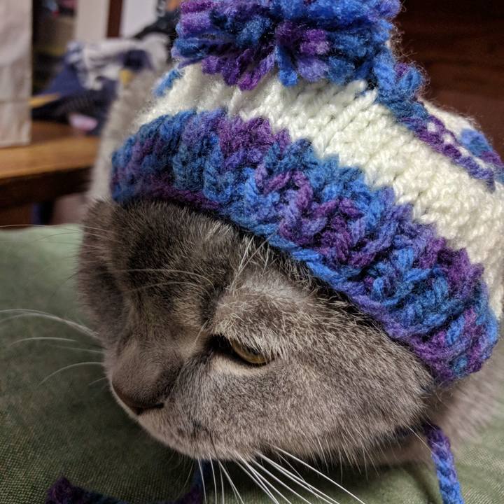 4e9c78b9 b518 4181 ada9 ffe188f9d561 1541480030638