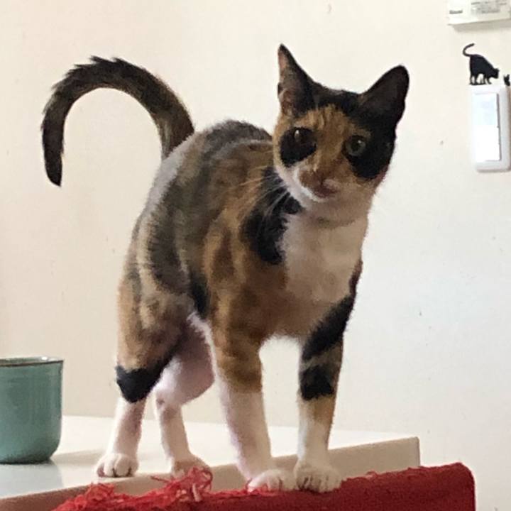 4e9c94bd 2c3e 4f36 8a38 4ac368a525c9 1559172282489