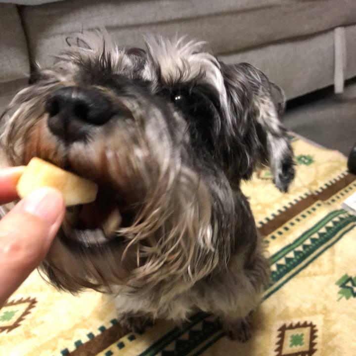 4e9cc46b 06c6 45ed 9a47 5d35b02a44fc 1621857575384