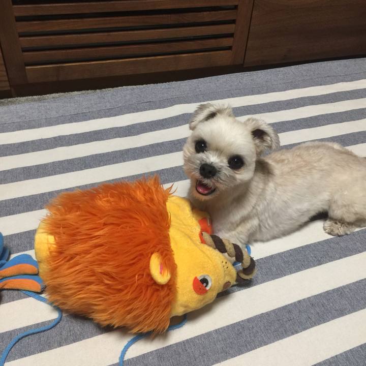 4e9cce92 cccf 4d33 977a 9006e97a4d15 1530450112025