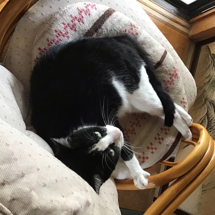 4e9cd49e 3cec 4164 996d 7afc219b1e83 1689592892219