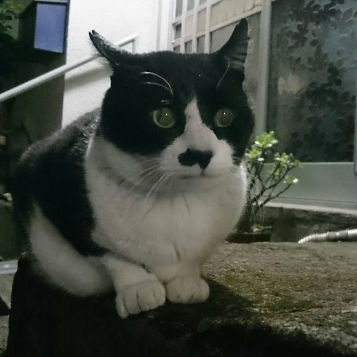 4e9d0246 7a47 4e1e b05a e91df57d1327 1521284275621