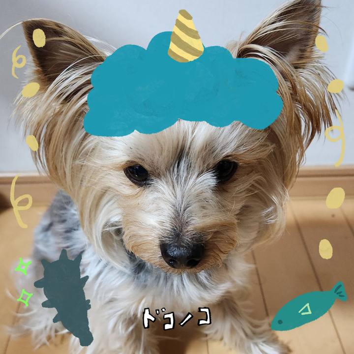 4e9d0eb8 29e7 454e b59b 2ca6eb24f8b3 1706778515010