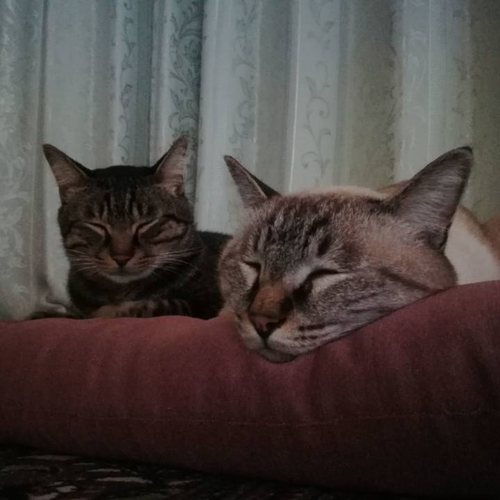 4e9d1532 2fd4 4879 9599 24046a350b3d 1538483796555