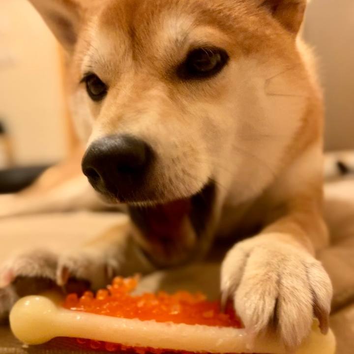 4e9d6fa9 4b2b 46ab bbb1 7792f0431379 1656630686157