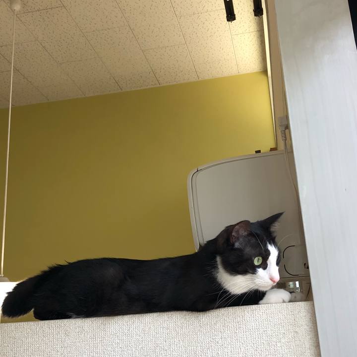 4e9d794e a14a 4cc8 9028 7f457093bfa3 1528512971942