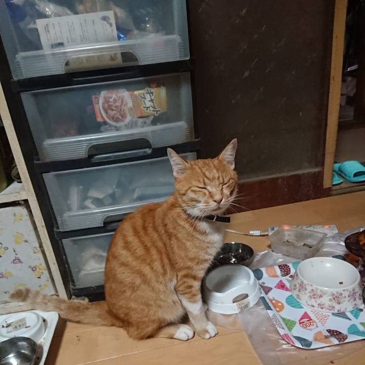 4e9d840b 75a0 4995 9dd1 1cdf7ea315c7 1597780622470