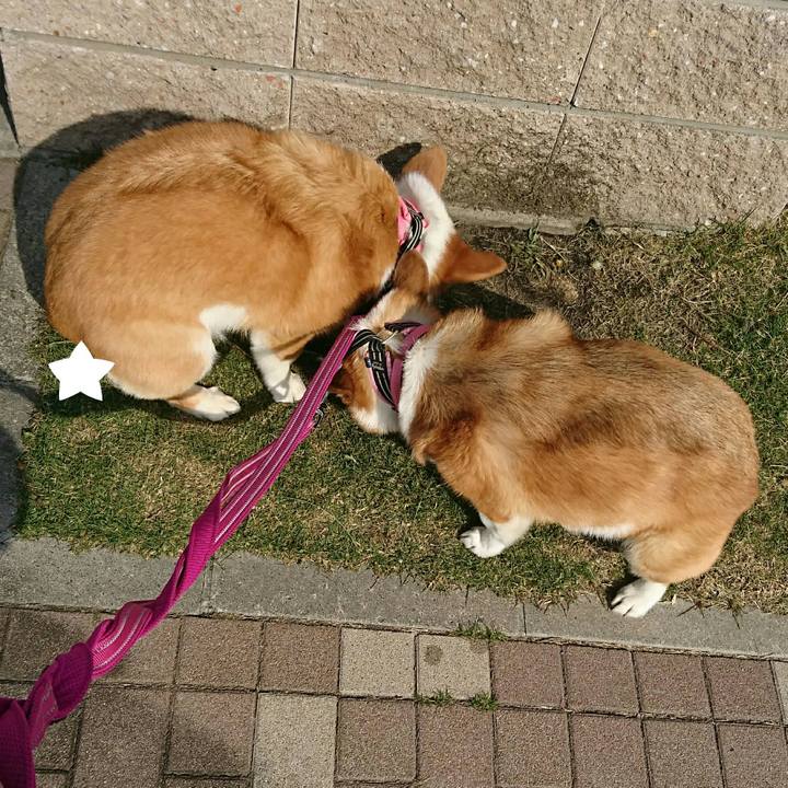 4e9d991c fe97 4dbb a7b4 907d583e1a0c 1556017260389