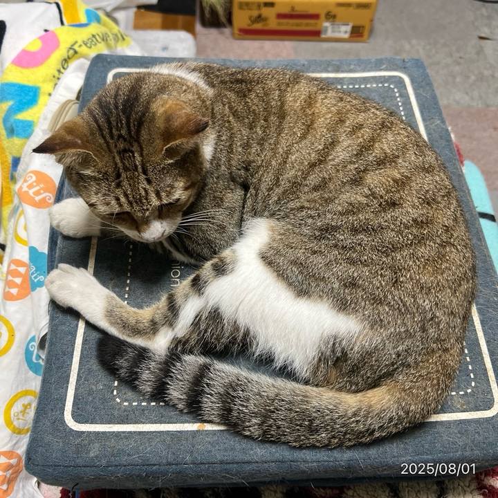 4e9da5d1 bdc9 4ba2 8caf 3ce76997666a 1753999093153