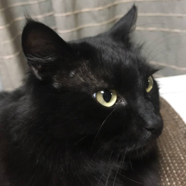 4e9e015a f96d 42b1 b468 ca430375beb5 1522846205501