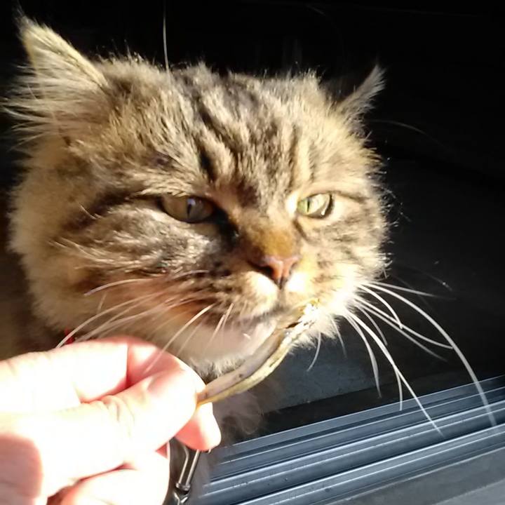 4e9e0564 668b 4d8d af12 6d7b9768a07b 1619047036316