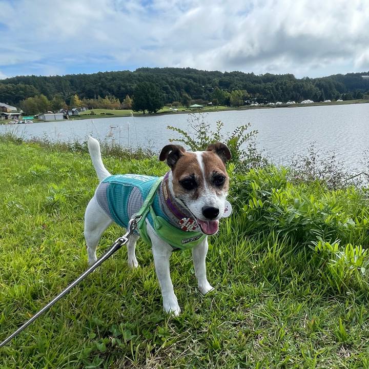 4e9e52db b9ee 4a0c a96a 9b1abe73599c 1758870137692