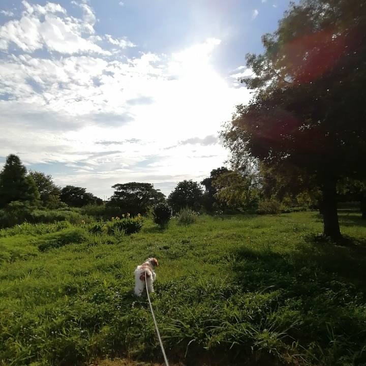 4e9ebb61 36b8 485a 9aee 209d44357e98 1595329322468