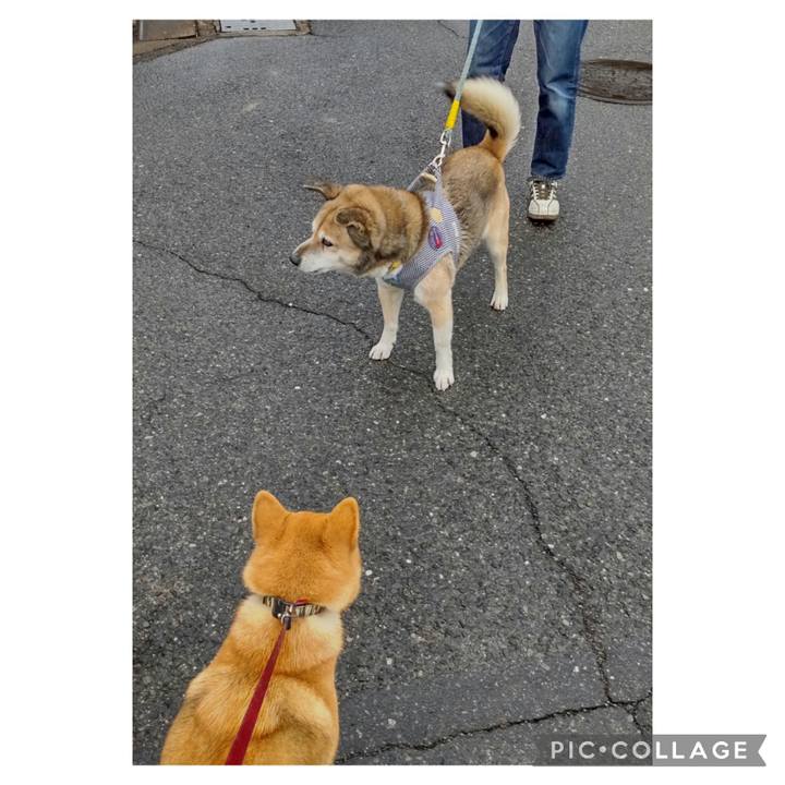 4e9f102d 2f58 434b b86c 0ec51094985a 1675732406686