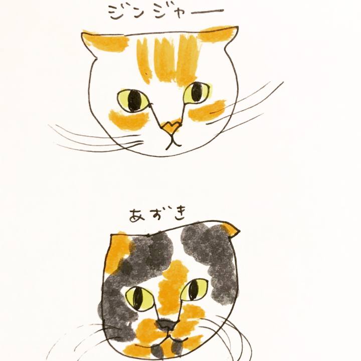 4e9f19d6 12f2 4aef 9050 4d334c1fc82a 1574682717042