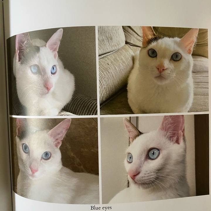 4e9f241b 0fc5 4a8f 9f2d 4b6846708a00 1665266997197