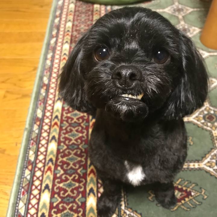 4e9f3a0b 3145 4cd6 8267 94ee1375b3c2 1519737794638