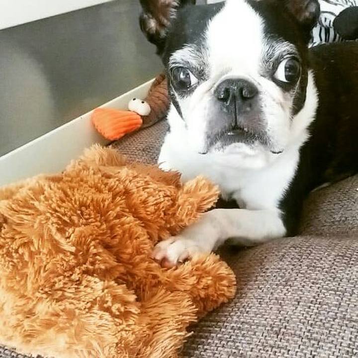 4e9f6fe5 2385 444d 84a3 6871606c3d86 1538315965821