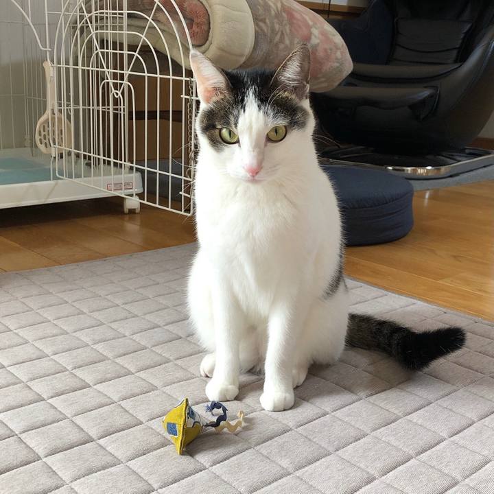 4e9f8b8f 1ae1 4eb0 a74d 44b47eb630e7 1636602867343