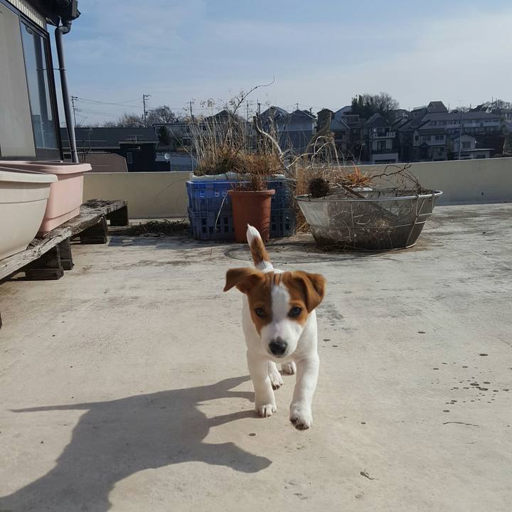 4e9fc3ec f044 4fd3 9310 e06cf6806a4c 1550883403403