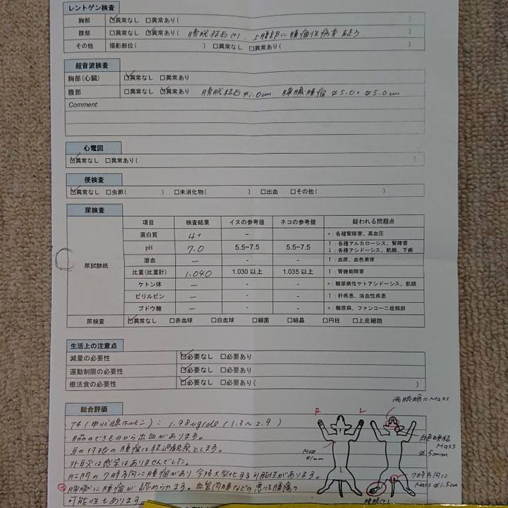 4ea05a9b 40bb 4bf4 87bb 08bf07a85717 1566612817201