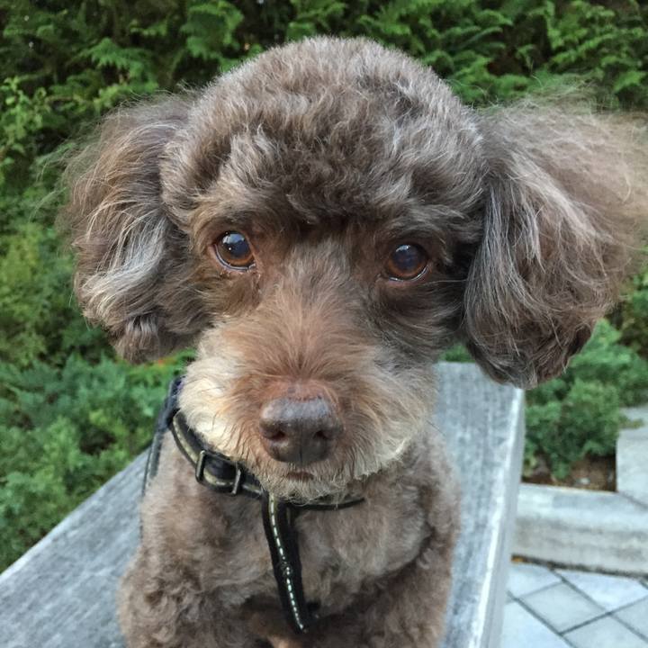 4ea06492 b3df 4959 bac4 bee023cc5dd7 1508326509806