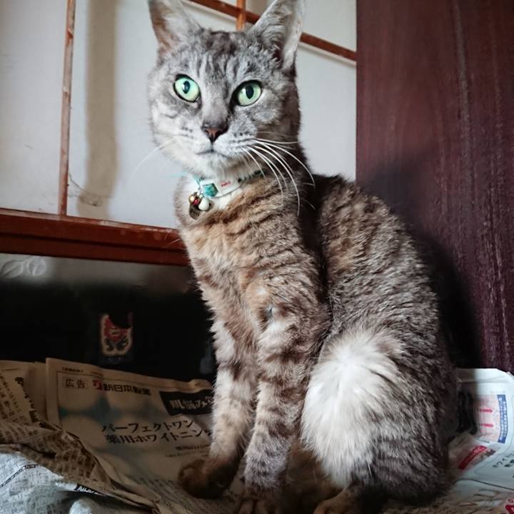 4ea066aa d928 43e4 9327 3a8c07c6c241 1566718420727