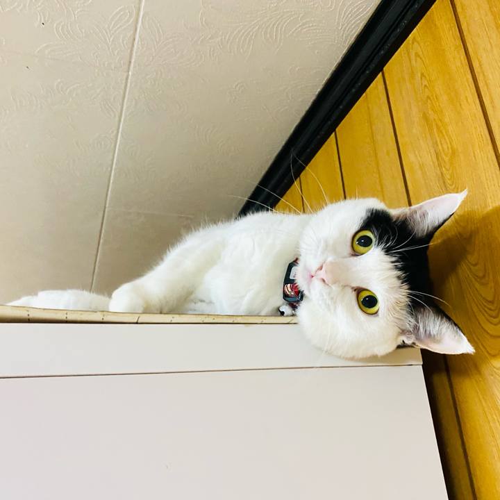 4ea0679b 8749 4ce0 a681 8c61efa73edf 1664542716439