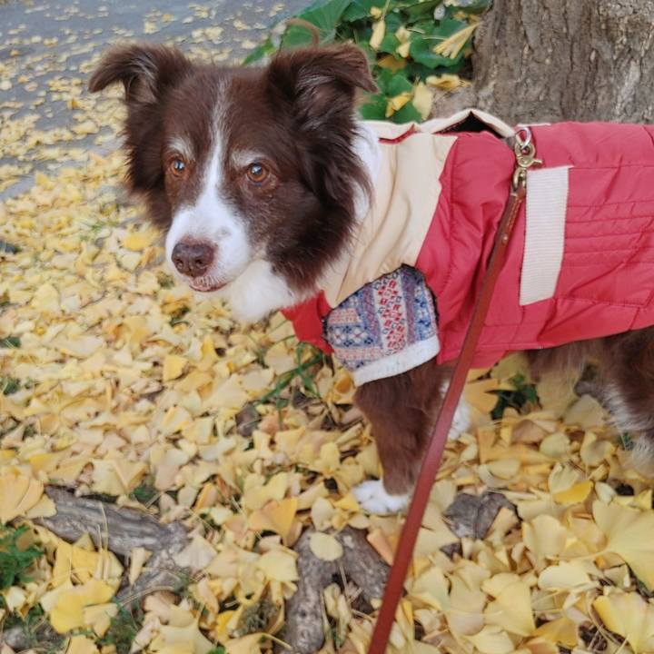 4ea0a23a 7fe8 4005 baba 7936ad14a76b 1764744492443