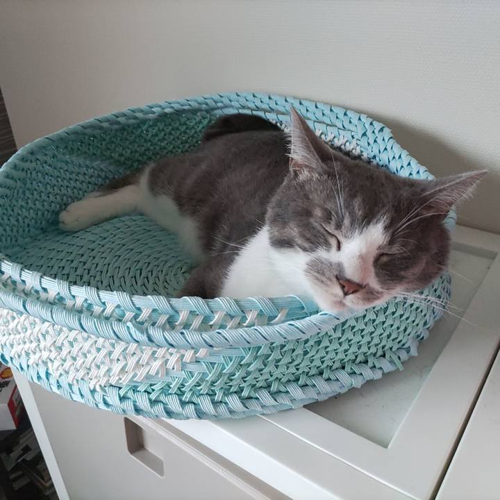 4ea0b161 73d3 4d0e 99cc 5e5c35d6af11 1660791061751