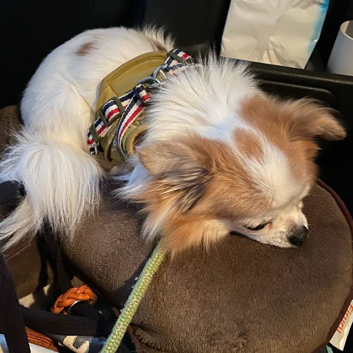 4ea0b917 e625 477d ba4c ad2f8ad5fb4e 1636882736482