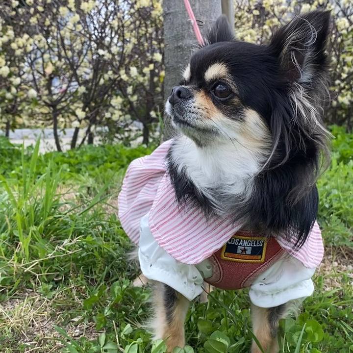 4ea0cd44 0085 4baa ad57 83bf7ebb8a7a 1616210139304